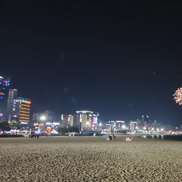 모던 모먼트가든 테라피 안내 이미지