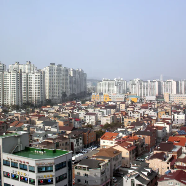 하니아지트 테라피 안내 이미지