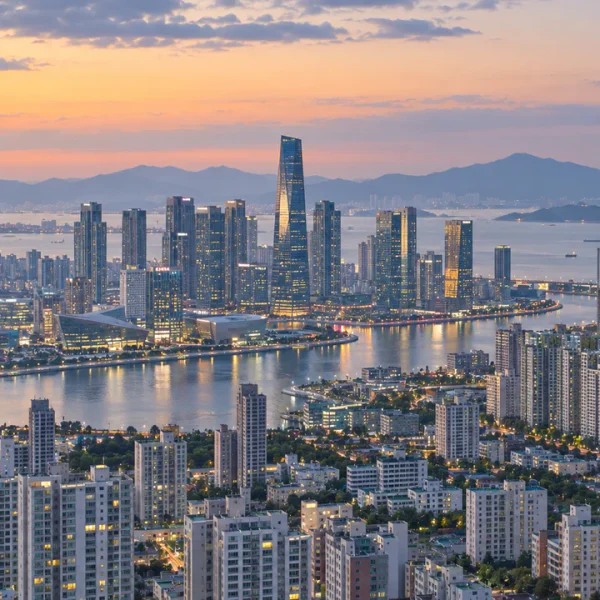 포레스트 리브하우스 테라피 안내 이미지