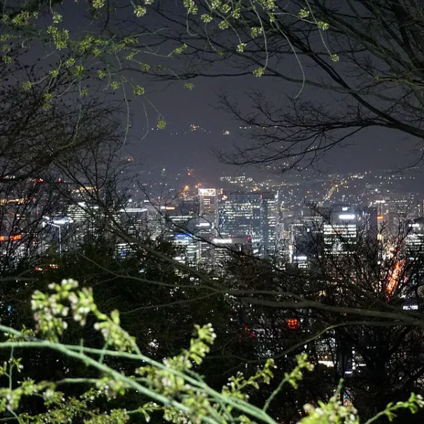 스테이 새봄살롱 홈타이 제휴업체 이미지