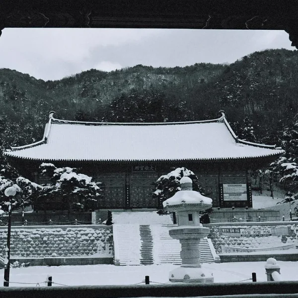 모던 아모르살롱 테라피 안내 이미지